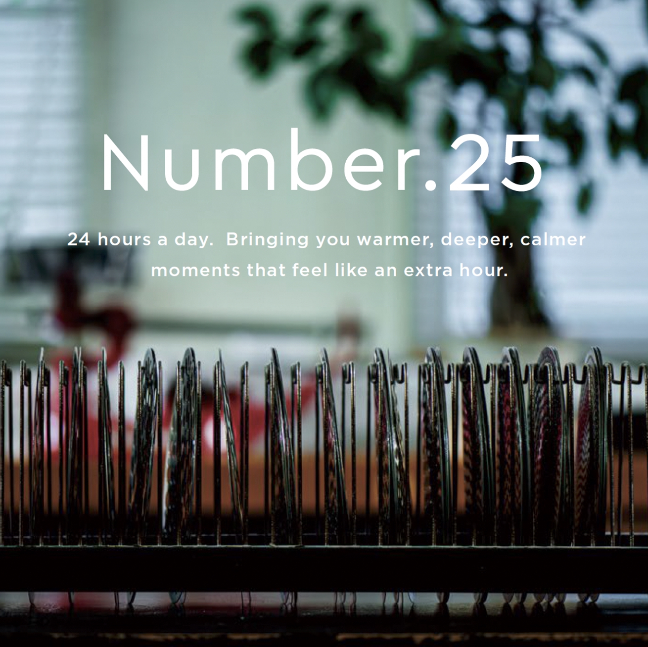 Number.25